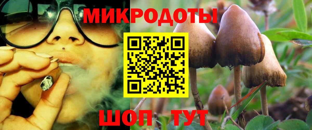 Псилоцибиновые грибы Psilocybine cubensis Воскресенск