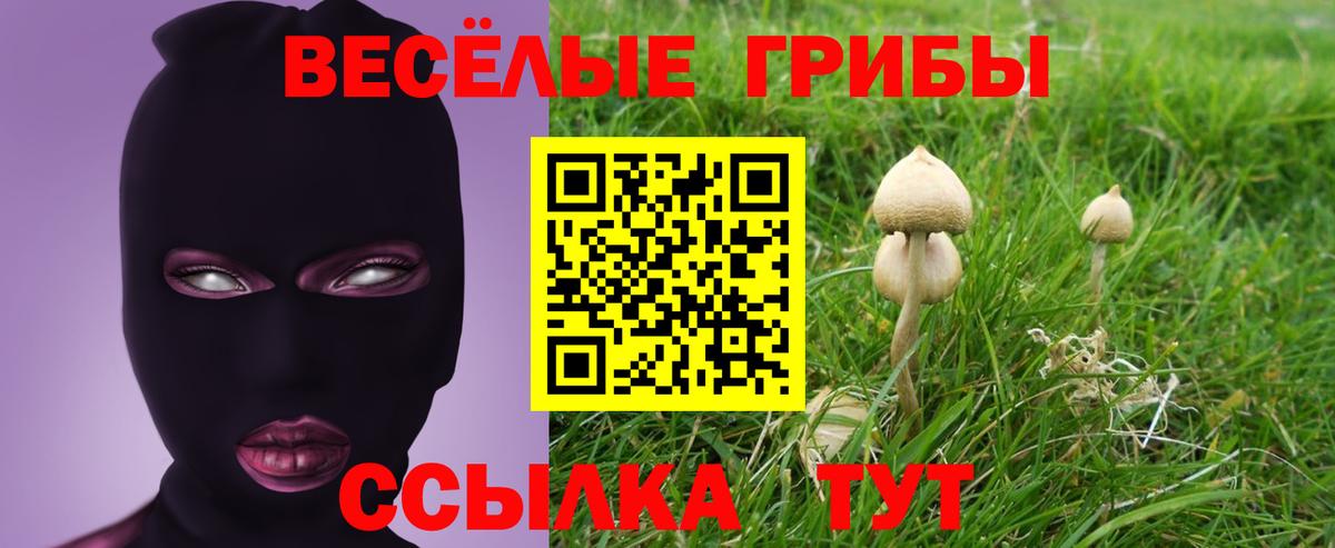 Галлюциногенные грибы Psilocybe  Вход с VPN  Воскресенск 